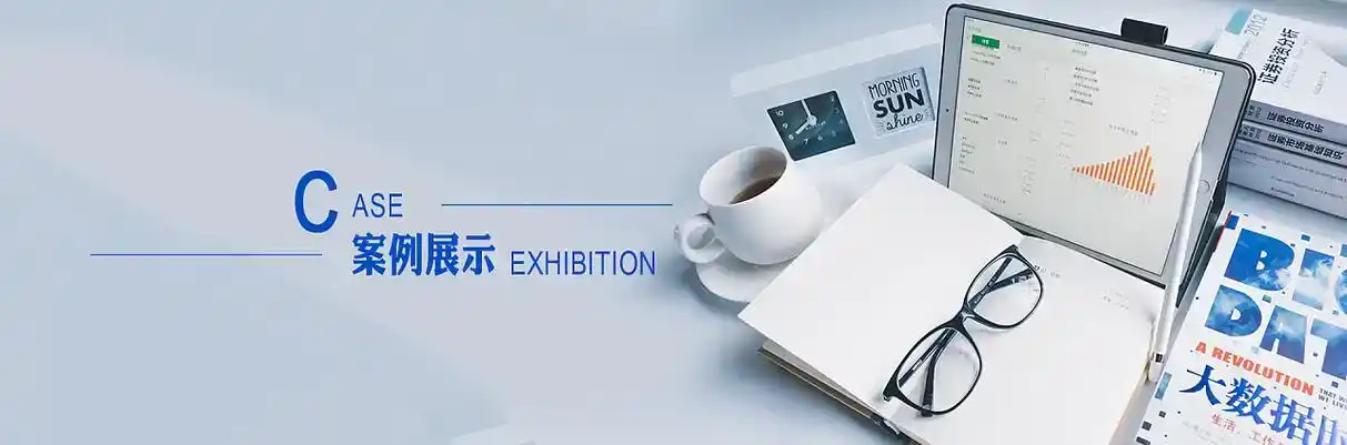 东丽区软件开发